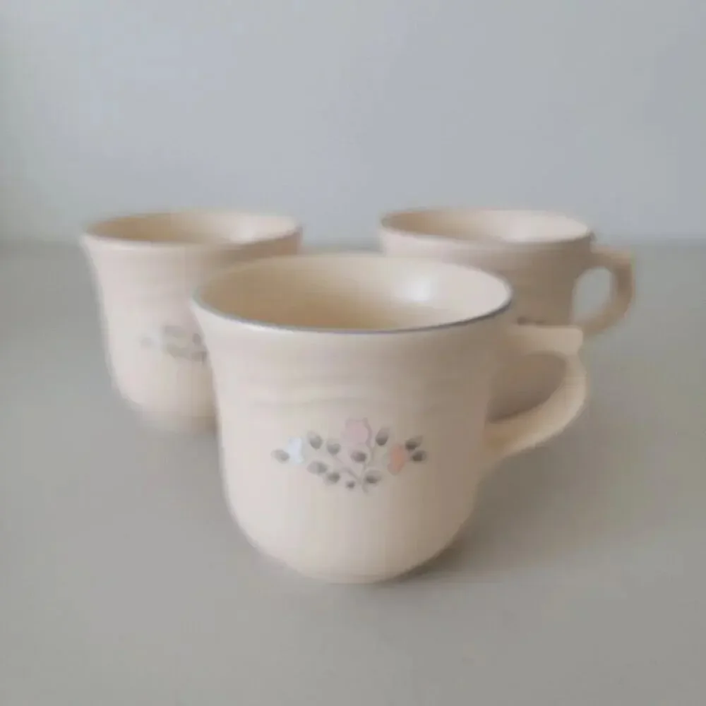 Pfaltzgraff Remembrance Vintage Floral Mug Set of 3 Beige Stoneware Discontinued